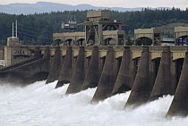 Effluence from Bonneville Dam, Columbia River, Oregon