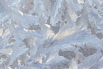 Frost crystal formation on window, North America