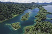 Islands at southeast end of Lake Kutubu in highlands, Papua New Guinea