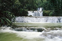 Four cascades of the Ys River Falls surrounded by tropical rainforest, Jamaica
