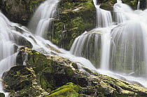 Falls on north fork Sauk River, Mt Baker, Snoqualmie National Forest, Washington