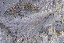 Frost crystal formation on window, North America
