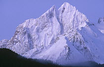 Snow-covered peaks of Takhinsha Mountains, northeast park boundary, Glacier Bay National Park and Preserve, Alaska