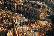 Hoodoos formations from Sunrise Point, Bryce Canyon National Park, Utah