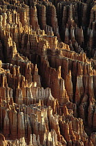 Hoodoos formations in Queens Garden, Bryce Canyon National Park, Utah