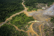 Logging erosion in lowland tropical rainforest across the broad flood plain of Aird River, Kikori Basin, Papua New Guinea