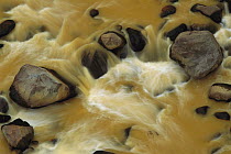 Rio Sucio laden with naturally occurring iron and sulfur deposits, Braulio Carrillo National Park, Costa Rica