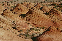 Wind sculpted Colorado sandstone, Paria Canyon, Vermilion Cliffs Wilderness, Arizona
