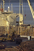 Raw log export to Japan, Port of Astoria, Oregon