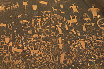 Fremont petroglyphs, Newspaper Rock State Park, Utah