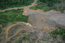 Rainforest logging activities near eastern boundary of the Kikori Delta, Papua New Guinea