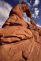 Upward view of Delicate Arch, Arches National Park, Utah