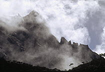 Basalt pinnacle formations atop Mt Kinabalu, Kinabalu National Park, Borneo