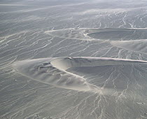 Aerial view of barchan cunes showing typical horns and downwind slip face, at approximately 32 degrees, Skeleton Coast National Park, Namibia