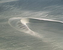 Aerial view of barchan dunes showing typical horns and downwind slip face, at approximately 32 degrees, Skeleton Coast National Park, Namibia