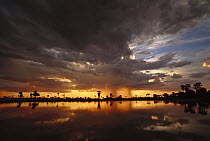 Sunset and storm clouds over waterhole, Kwando River flood plain, Linyanti Swamp, Okavango Delta, Botswana