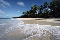 Grand Anse Des Salines, Martinique, West Indies