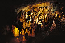 Harrison's Cave showing stalactites and stalagmites, Barbados, Caribbean