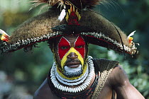 Huli tribesman in traditional costume, Tagali River Valley, Papua New Guinea