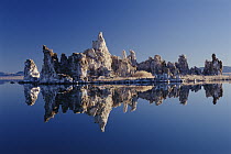 Mineral tufa formations reflected in Mono Lake, California