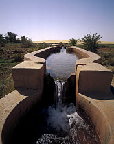 Water pump and viaduct in oasis, Oasis Dakhia, Sahara Desert, Egypt