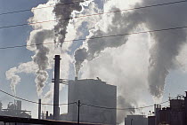 Air pollution from Weyerhaeuser paper pulp plant along Columbia River, Washington