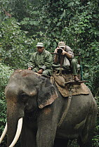 Photographer Gerry Ellis, photographing from 'howdah' on elephant back in Royal Chitwan National Park, Nepal