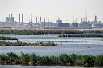 Petroleum refineries engulfing coastal wetlands, local trap-fishing grounds in the Nile River Delta, Alexandria, Egypt