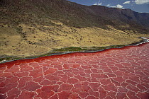 Soda and algae formations near shore of Lake Natron, Great Rift Valley, Tanzania
