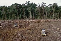Clearing of tropical rainforest south of Lake Kutubu for Gobe oil camp, southern highlands, Papua New Guinea
