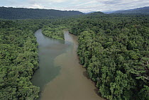 Confluence of silt laden Seribi River and another river in the Kikori Delta region, Papau New Guinea