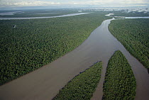 Aerial view of Kikori River and streams running through lowland tropical rainforest, Gulf of Papua, Papua New Guinea