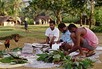 Botanists from Papua New Guinea record specimens from plant survey in Kikori Basin, WWF ICDP 1995, Omo Village, Papua New Guinea