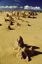 Pinnacle formations in Nambung National Park, Western Australia