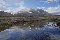 Sadlerochit Mountains reflected in summer tussock tundra pond, Sunset Pass, Arctic National Wildlife Refuge, Alaska