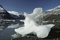 Melting iceberg on shoreline of Glacier Bay National Park, Alaska