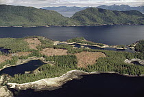 Aerial view of clearcut temperate rainforest on Prince of Wales Island, Tongass National Forest, Alaska
