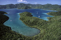 Hurricane Bay, Virgin Islands National Park, Saint John Island, Virgin Islands, Caribbean
