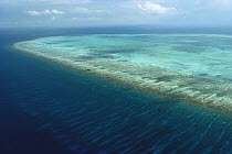 Barrier Reef, Half Moon Cay, Belize