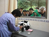 Giant Panda (Ailuropoda melanoleuca) baby and care-taker being watched through the window by tourists wt the China Conservation and Research Center for the Giant Panda, Wolong Nature Reserve, China