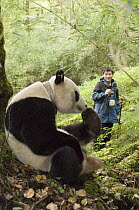 Giant Panda (Ailuropoda melanoleuca) researcher Liu Bing radio tracking Xiang Xiang, the first captive raised panda to be released into the wild, Wolong Nature Reserve, endangered, China