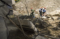 Giant Panda (Ailuropoda melanoleuca) enclosure excavated by workers to locate Mao Mao's body after the May 12, 2008 earthquake and landslides, CCRCGP, Wolong, China