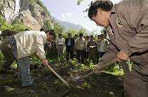 Giant Panda (Ailuropoda melanoleuca) recovery effort, workers bury Mao Mao's coffin after the May 12, 2008 earthquake and landslides, CCRCGP, Wolong, China