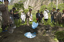 Giant Panda (Ailuropoda melanoleuca) grave is filled with contaminated clothing before being covered, May 12, 2008 earthquake and landslides, CCRCGP, Wolong, China