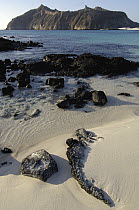 Beach, Cerro Brujo, San Cristobal Island, Galapagos Islands, Ecuador