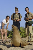 Galapagos Sea Lion (Zalophus wollebaeki) sunning with three tourists, Espanola (Hood) Island, Galapagos Islands, Ecuador