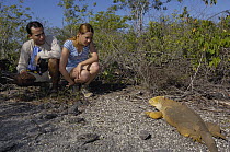 Galapagos Land Iguana (Conolophus subcristatus) with tourists, Urbina Bay, Isabella Island, Galapagos Islands, Ecuador