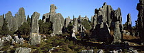 Stone forest of eroded limestone pinnacles, Yunnan Province, China