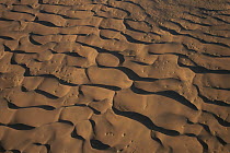 Aerial view of sand dunes, near Sossusvlei, Namibia
