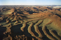 Aerial view of sand dunes after a good rain year near Sossusvlei, Namibia